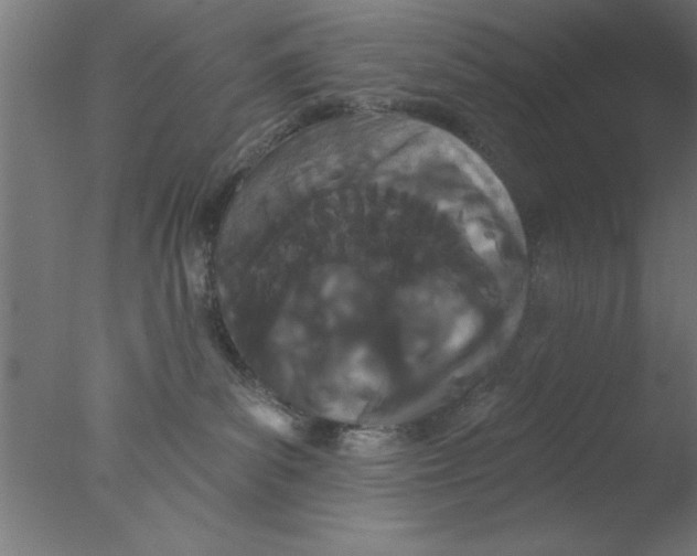 X0000076060139200610201958