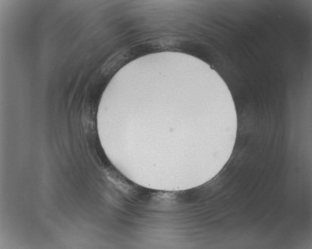 X0000076060140200610201958