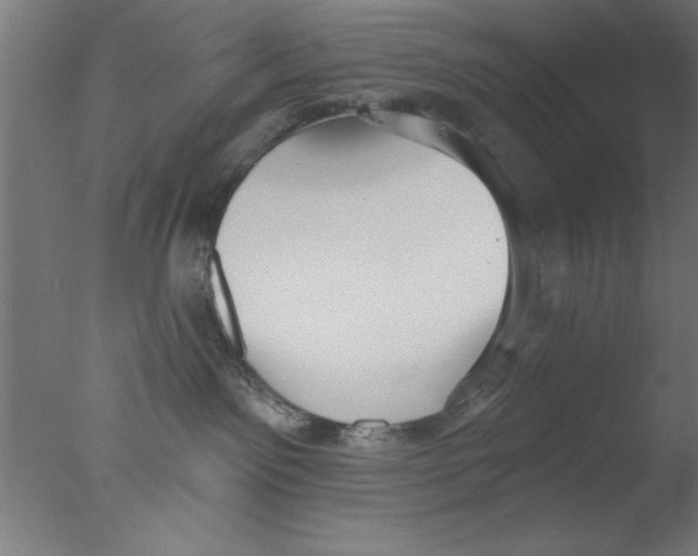 X0000076060141200610201958