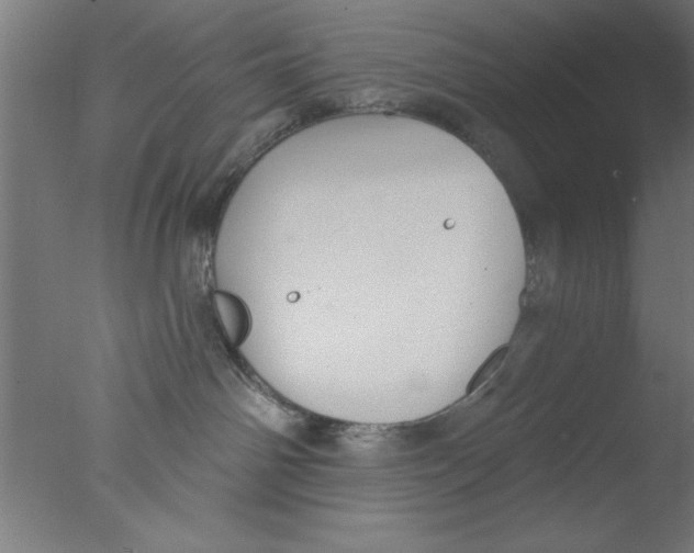 X0000076060142200610201958