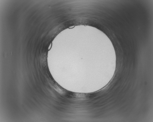 X0000076060144200610201958