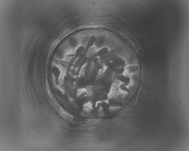 X0000076060145200610201957