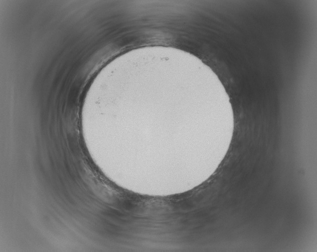 X0000076060146200610201957