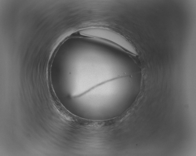 X0000076060148200610201957