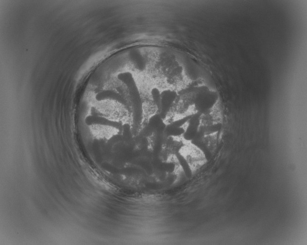 X0000076060149200610201957