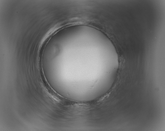 X0000076060150200610201957