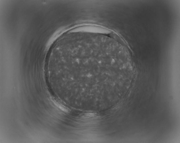 X0000076060151200610201957