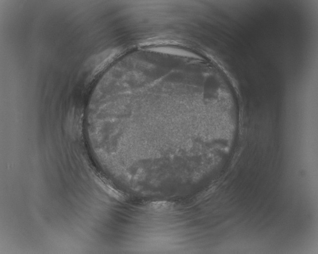 X0000076060153200610201957