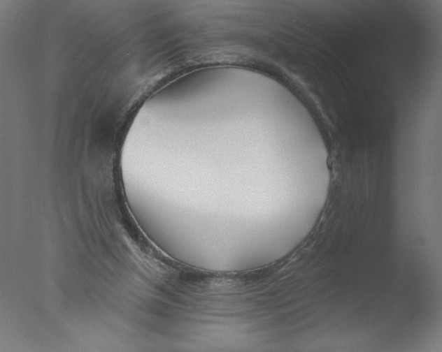 X0000076060154200610201957