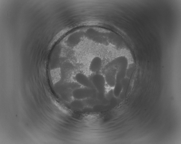 X0000076060155200610201957