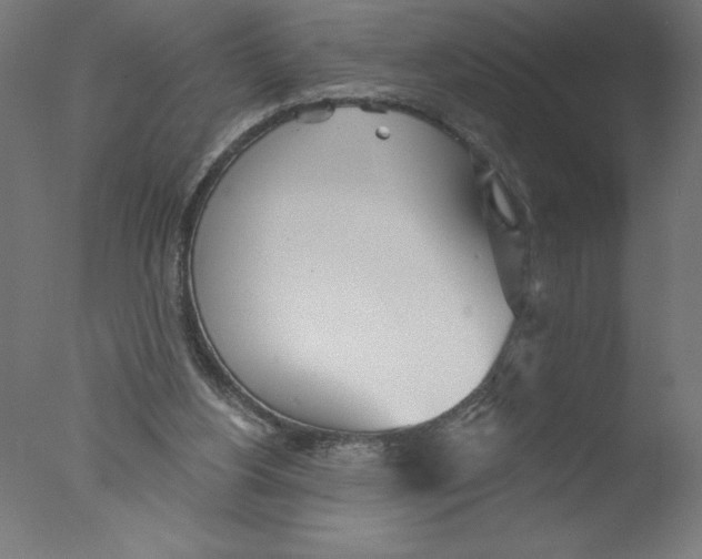 X0000076060156200610201957