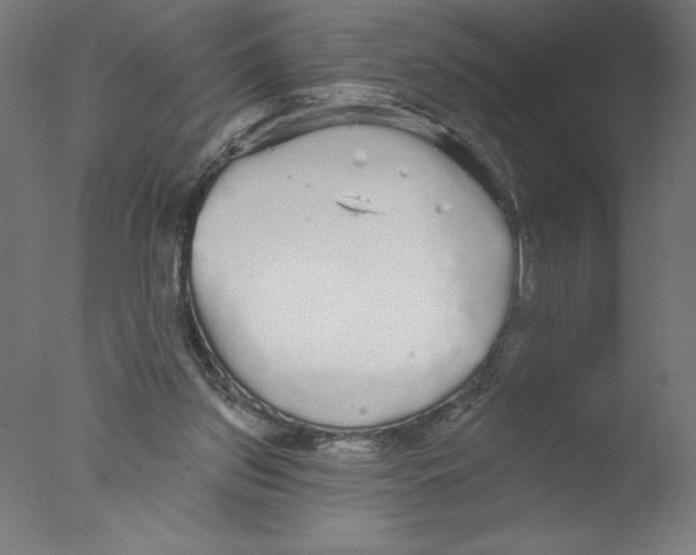 X0000076060157200610201957