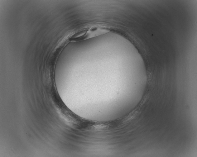 X0000076060158200610201957