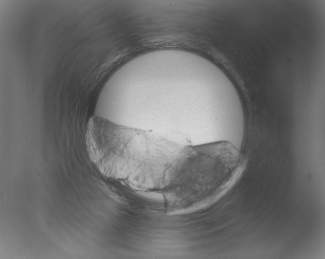 X0000076060161200610201957