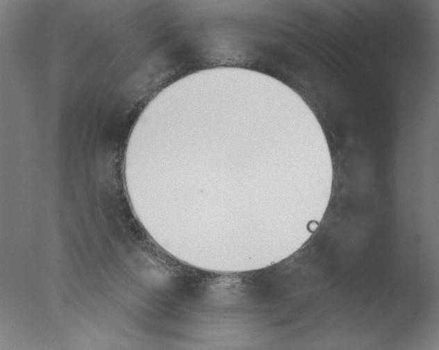 X0000076060162200610201957