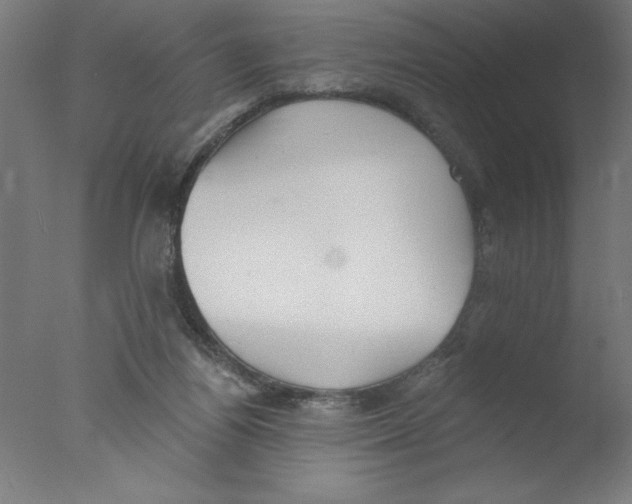 X0000076060164200610201957