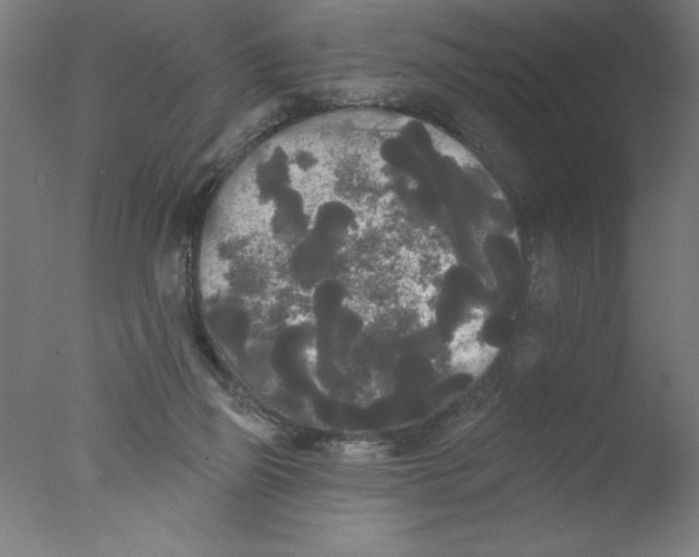 X0000076060165200610201957