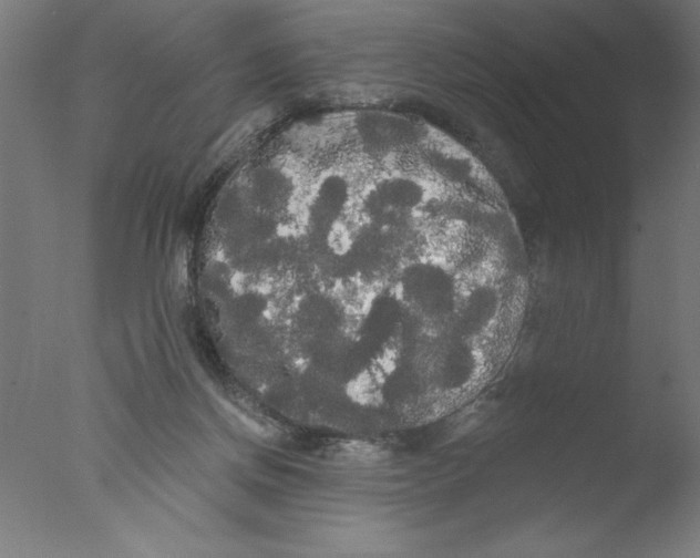 X0000076060166200610201957