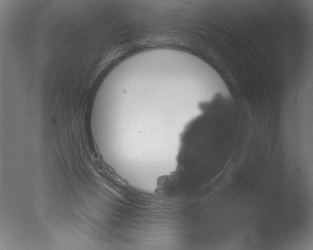 X0000076060167200610201957