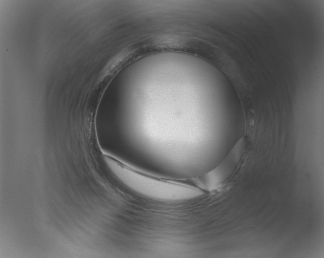 X0000076060168200610201957