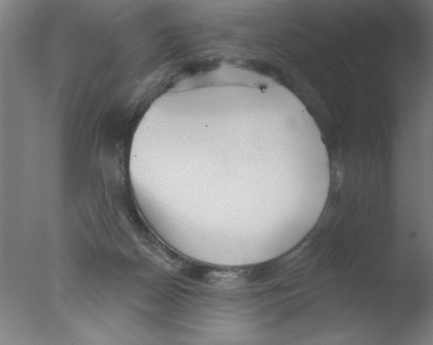 X0000076060170200610201957