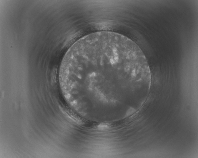 X0000076060171200610201957