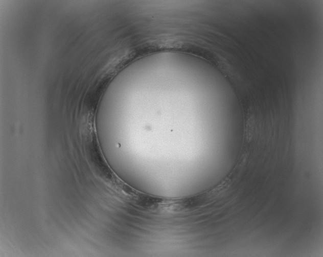 X0000076060172200610201957