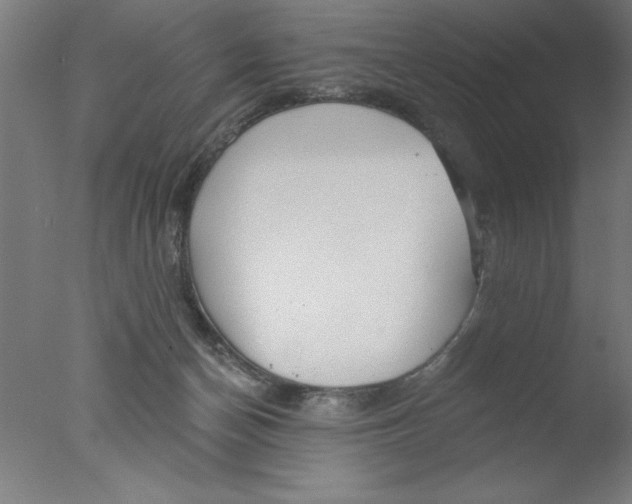 X0000076060174200610201957