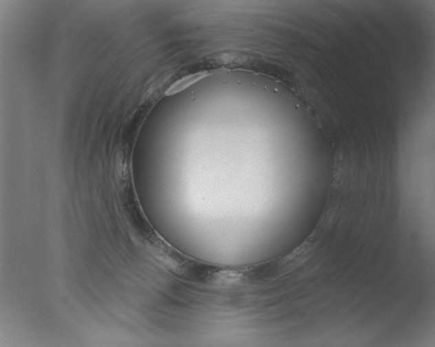 X0000076060176200610201957