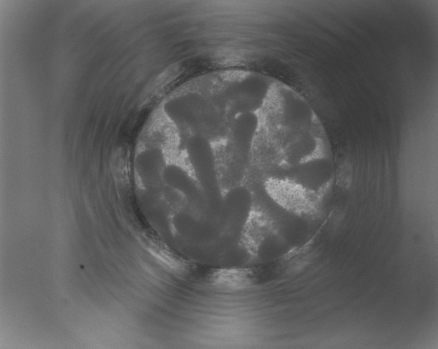 X0000076060179200610201957