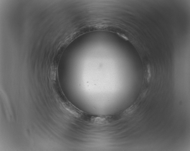 X0000076060180200610201957