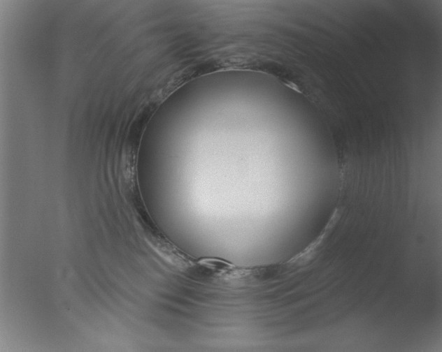 X0000076060186200610201957