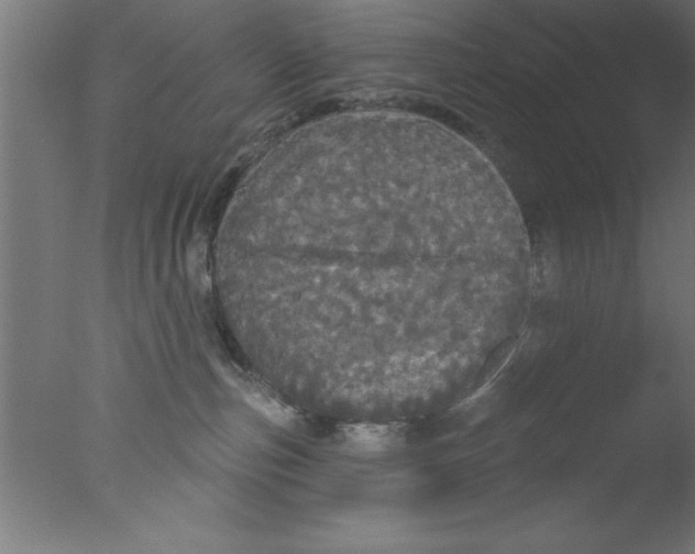 X0000076060187200610201958