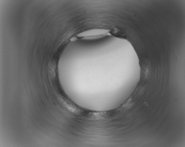 X0000076060188200610201958