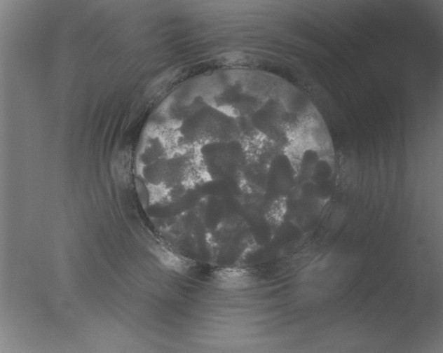 X0000076060189200610201958