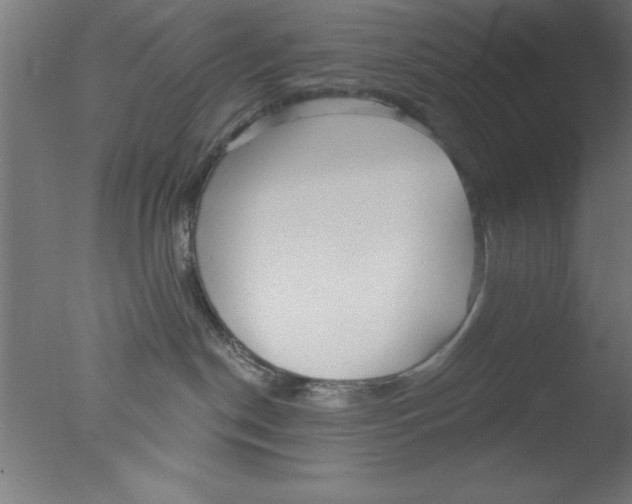 X0000076060190200610201958