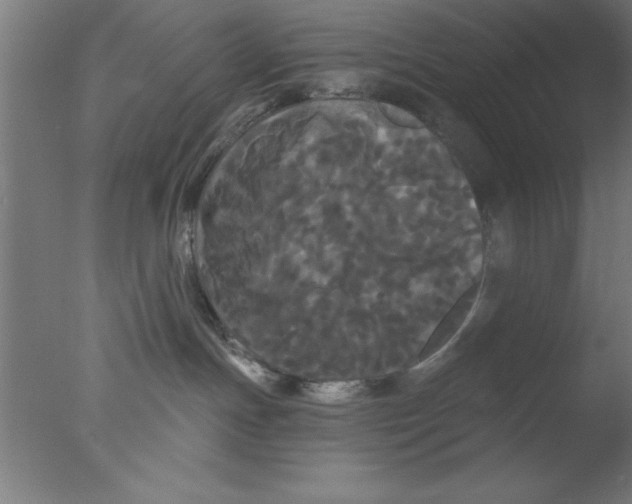 X0000076060191200610201958