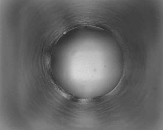 X0000076060192200610201958