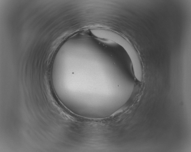 X0000076060193200610201957