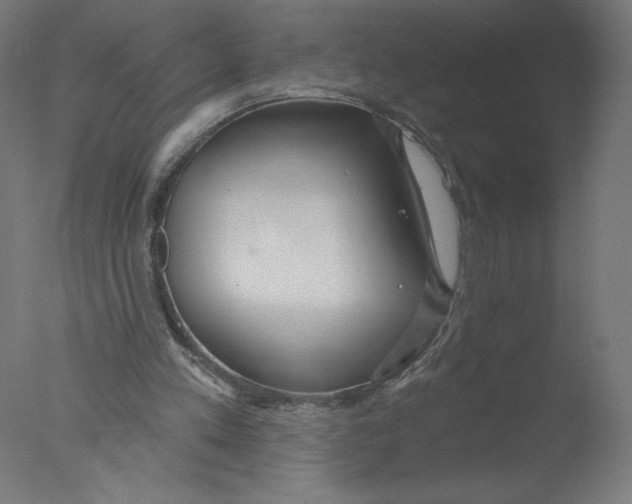 X0000076060197200610201957