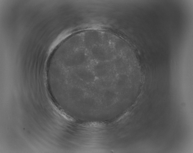 X0000076060198200610201957