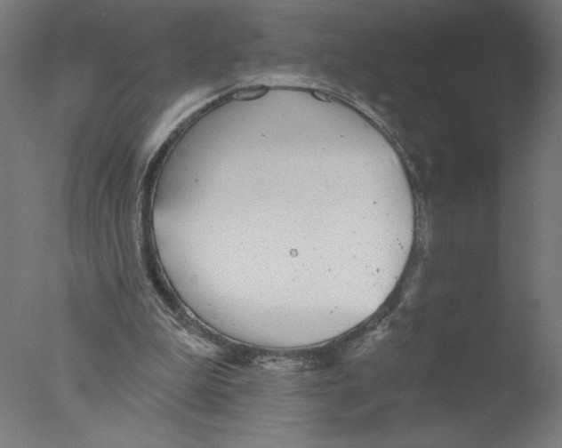 X0000076060199200610201957