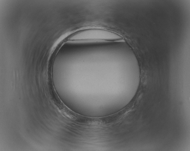 X0000076060200200610201957