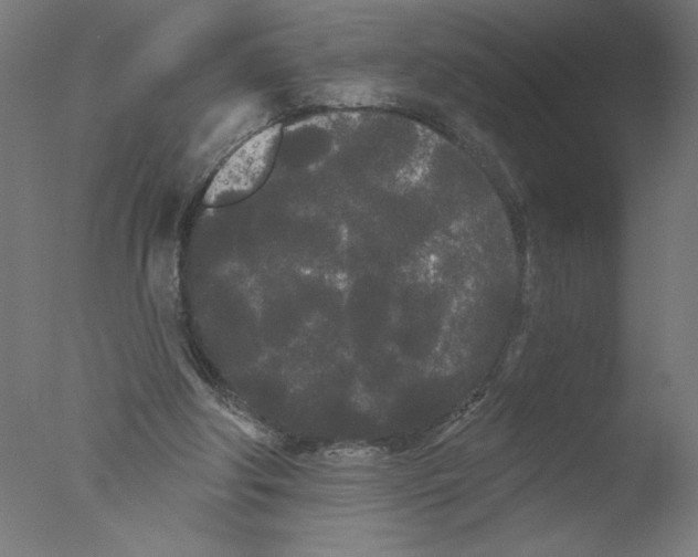 X0000076060202200610201957