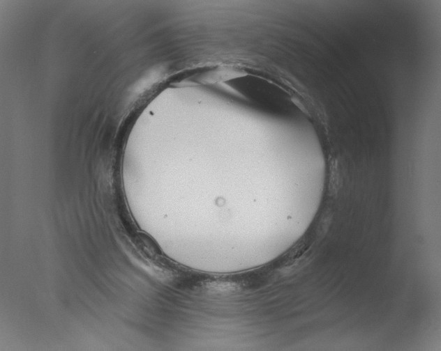 X0000076060203200610201957