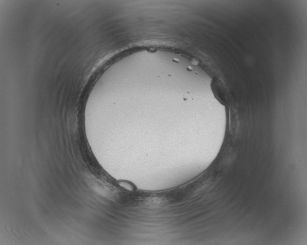 X0000076060204200610201957