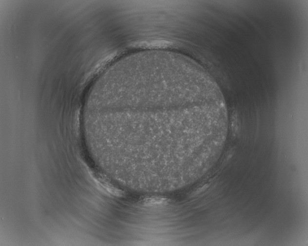 X0000076060206200610201957