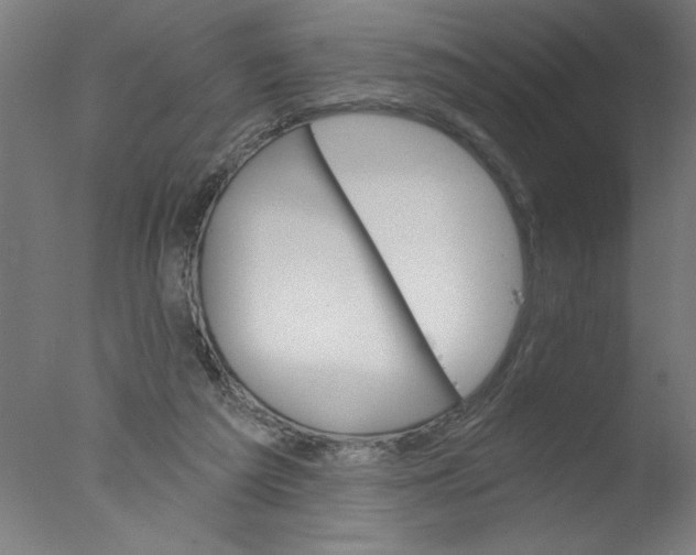 X0000076060209200610201957