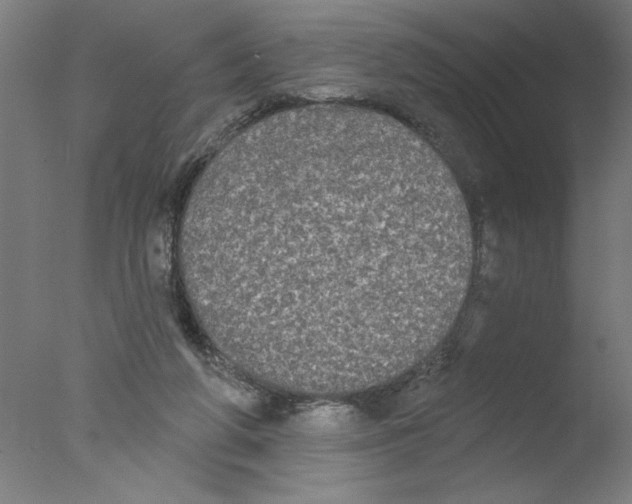 X0000076060210200610201957