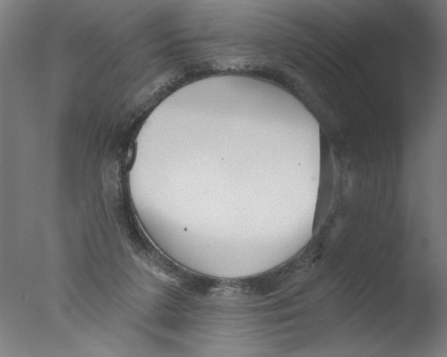 X0000076060211200610201956